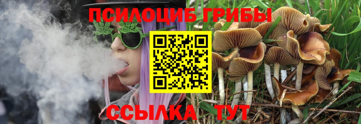 Гашиш  ЭКСТАЗИ  Вход с VPN  Семилуки  АМФЕТАМИН кристаллы  Меф   Меф  Канабис 